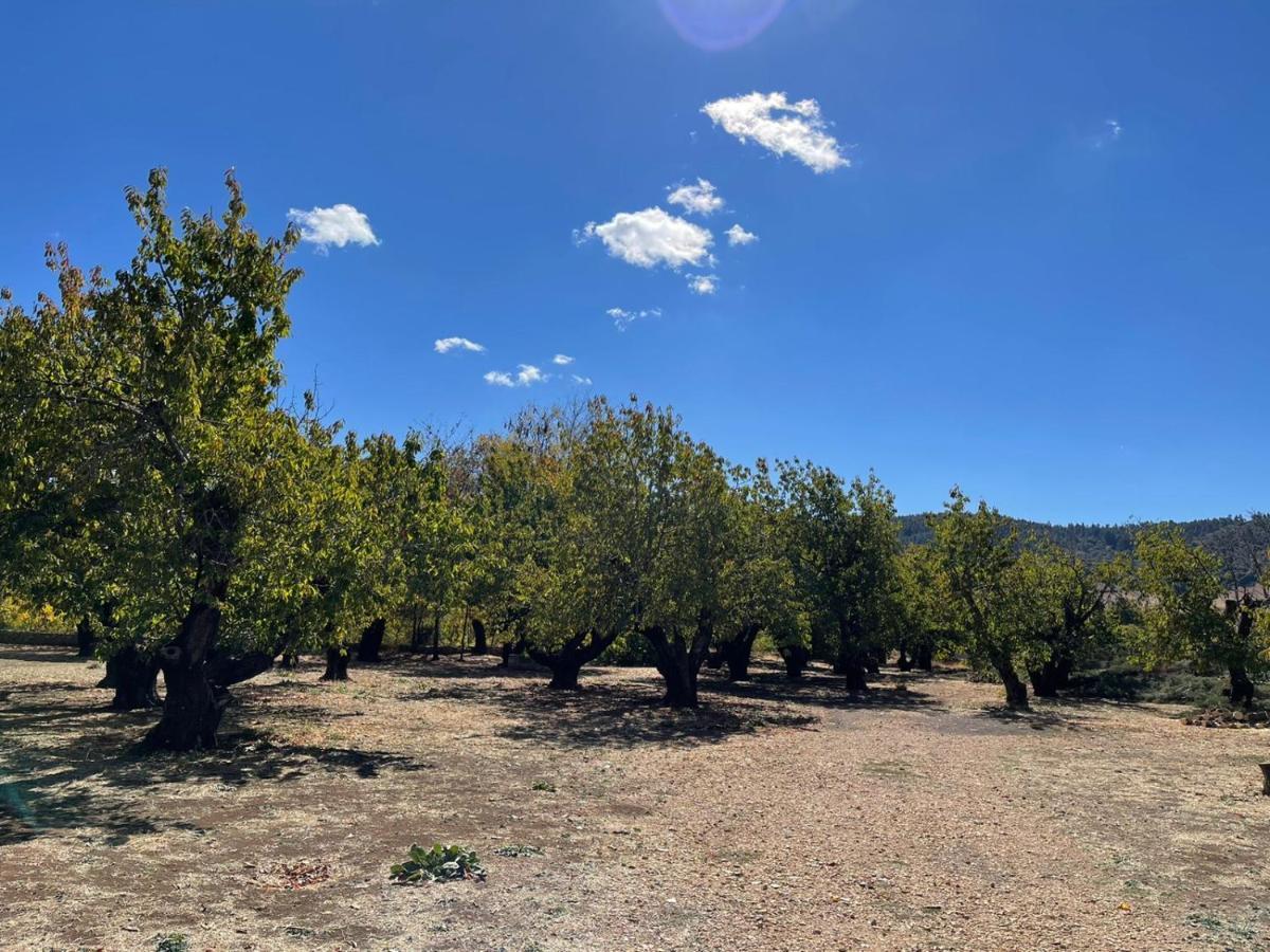 Gite Camping Amazigh Azrou Eksteriør billede